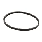 Stoelting 152290 V-Belt, BX36