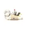 Lincoln 15251SP Hi Limit Thermostat, Manual Reset