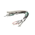 Duke 154444 HARNESS,WIRE CT WARMER W/ 212887SLEEVE ON
