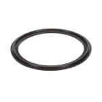 Groen 154935 O-RING REPLACEMENT KIT - AODD