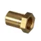 Groen 159585 MAIN INJECTOR 49#LPG