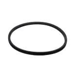 Blakeslee 15973 V BELT 4L270