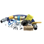 Dormont 16100KIT24 1 DIA., 24 BLUE HOSE, SNAPFAST, FULL PORT VALVE,