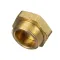 Blakeslee 17507 CAP FOR 3/4 STRAINER