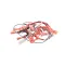 Duke 176183 HARNESS, ADAPTER CENTRIFUGAL S