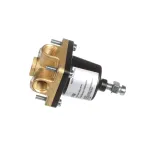 Cornelius 183460016 REG SQ S 60PSI W/RV