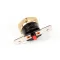 Carter-Hoffmann 18600-0049 Snap Disc, 243F/115C