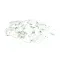 Saniserv 188719 Stera Sheen, Sanitizer & Cleaner, Box of 100