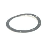 Adamation 19-4204-100 GASKET, INSPECTION PLATE 3HP