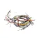 Blodgett 20018 Wire Harness, Front, 8 Set Point & Infinite Control, 2 Speed