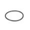 Daniels 20077-06 O-RING