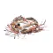 Amana Menumaster 20161501 Oven Wire Harness