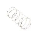 Nieco - 2025-01 - Nat 2.8 - 5.2in Rv47d Spring