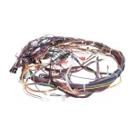 Amana Menumaster 20257301 HARNESS-OVEN