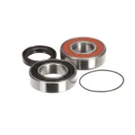 Sammic 2059504 Bearing and Retainer Set