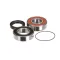 Sammic 2059504 Bearing and Retainer Set