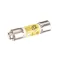 Power Soak Systems Inc 20635 FUSE LP-CC-15