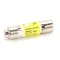 Power Soak Systems Inc 20637 Fuse, 30A, LP-CC-30
