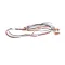 Bunn 29415.0101 SWITCH,MEMBRANE FMD-DBC 4CUP B