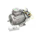 Zummo 210441C MOTOR (110V-60HZ)