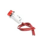 Duke 212069 Indicator Light, Red, 250V