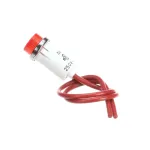 Duke 212069 Indicator Light, Red, 250V