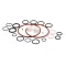 Stoelting 2177823 O-Ring and Bearing Kit