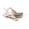 Tri-Star Manufacturing 21818762 Wire Harness, BCO-G/GDCO-G