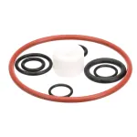 Stoelting 2187066 O-Ring and Bearing Kit, U411