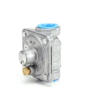 2195 Nieco