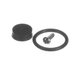 Stoelting 2202593 FAUCET REBUILD KIT; DIPPERWELL