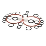 Stoelting 2205025 KIT,O-RING BEARING, O431-I2F