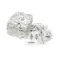 Stoelting 2205995 Cleaning Kit, Stera Sheen Sanitizer