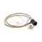 FAST 222-50210-13 Harness