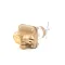 Town Food Service 226308 Pressure Regulator, Water, 3/8"