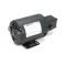 Ultrafryer 24A299 Pump/Motor Assembly, 5.0 GPM, 115/230V
