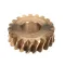 Omcan 25128 WORM GEAR