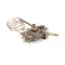 Montague 25614-5 THERMOSTAT/SAFETY