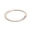 Power Soak Systems Inc 25976 Snap Ring