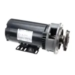American Dish Service 288-1056 WASH PUMP ASM 3HP 1PH
