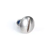 Ram 290000 Screw, Stainless Steel, 10 x 32 x 3/8