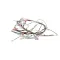 Bunn 29118.0000 WIRING HARNESS, CONTROL 120V