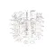 Star 2B-Z7963 Cradle Wheel Assembly, 174CBA