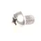 Lang 2C-20109-04 Screw, Phillips, Truss Head, 10-32 x 3/8", Stainless Steel