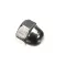 Wells 2C-40637 Nut, Acorn, 1/4-20