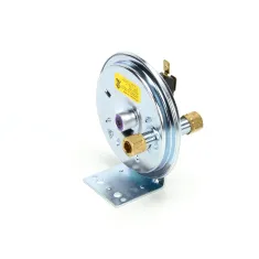 Wells 2E-301380 VACUUM SWITCH REPLACE FI