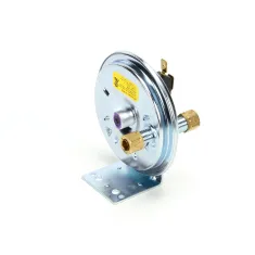 Wells 2E-301380 VACUUM SWITCH REPLACE FI