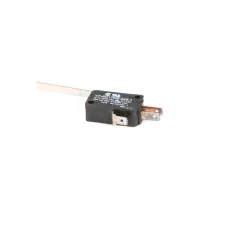 Wells 2E-44887 Microswitch, 120V, 15A, BWB1S-120V