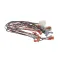 Magikitchn 2E-B6794001 Wire Harness, Control, Dual, MKH