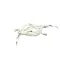 Star 2E-Z10325 Wire Kit, Kettle, G8/G12